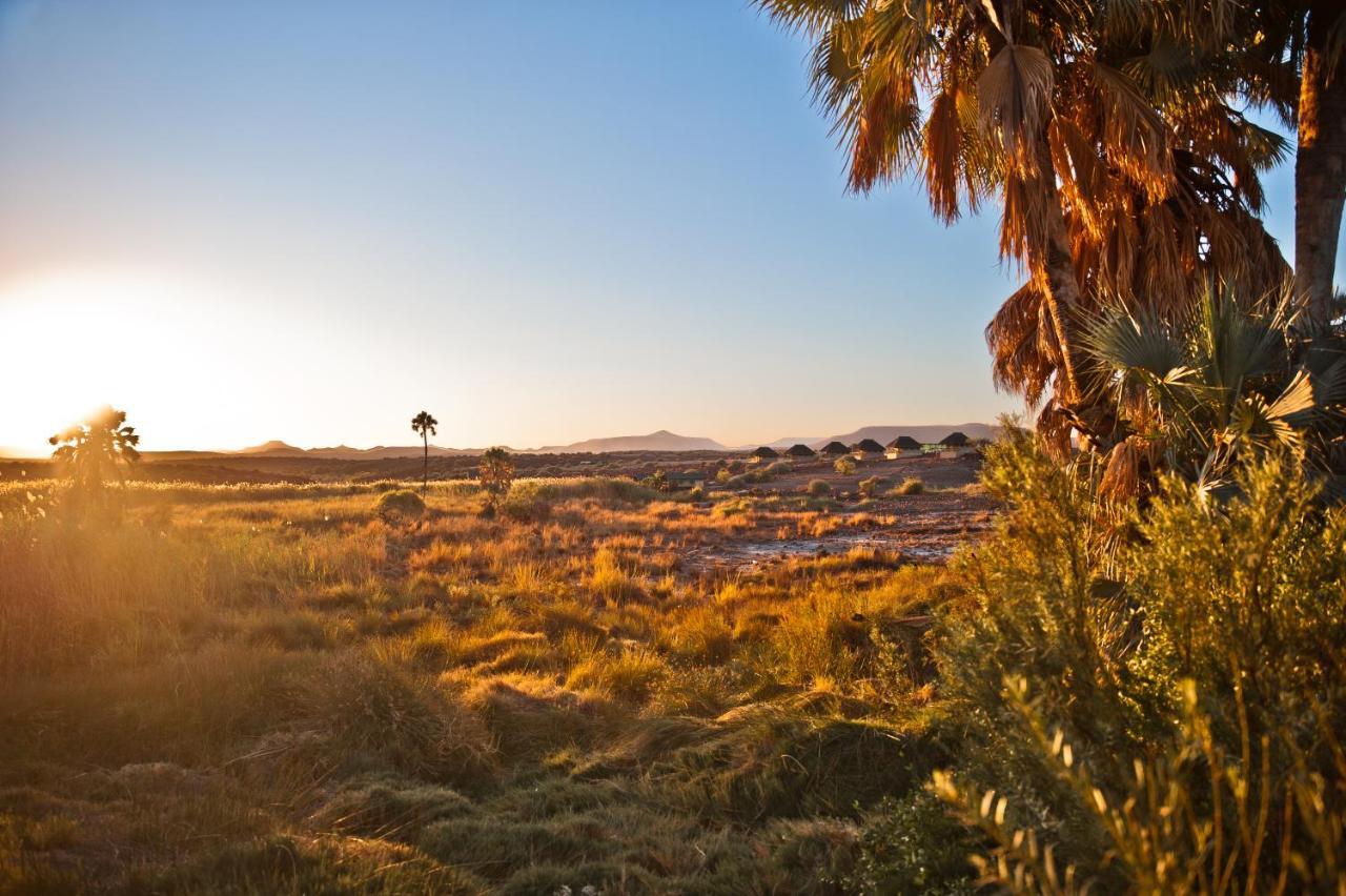 Palmwag Campsite Bagian luar foto